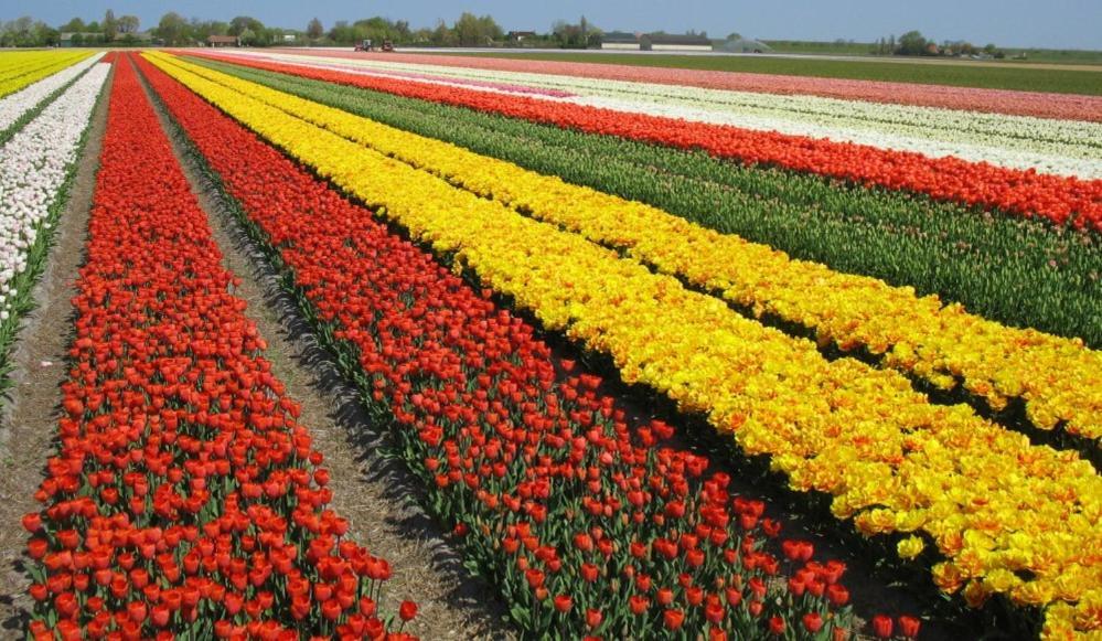Zoet En Zilt Villa Sint Maartensvlotbrug Esterno foto